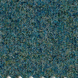 Pugirg Fenice 1221.jpg